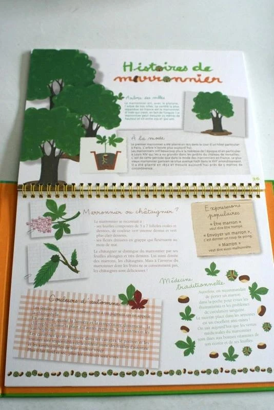 Book I grow fruits and trees – photo 7